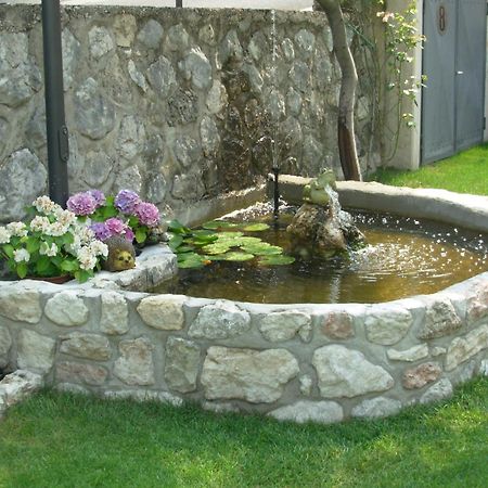 Villa Due Leoni - Residence Brenzone sul Garda Εξωτερικό φωτογραφία